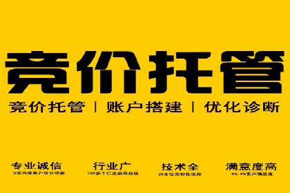竞价开户推广案例市场分析